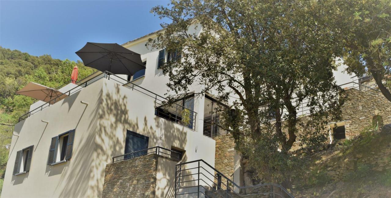 A Casa Di Campa Villa Oletta  Buitenkant foto